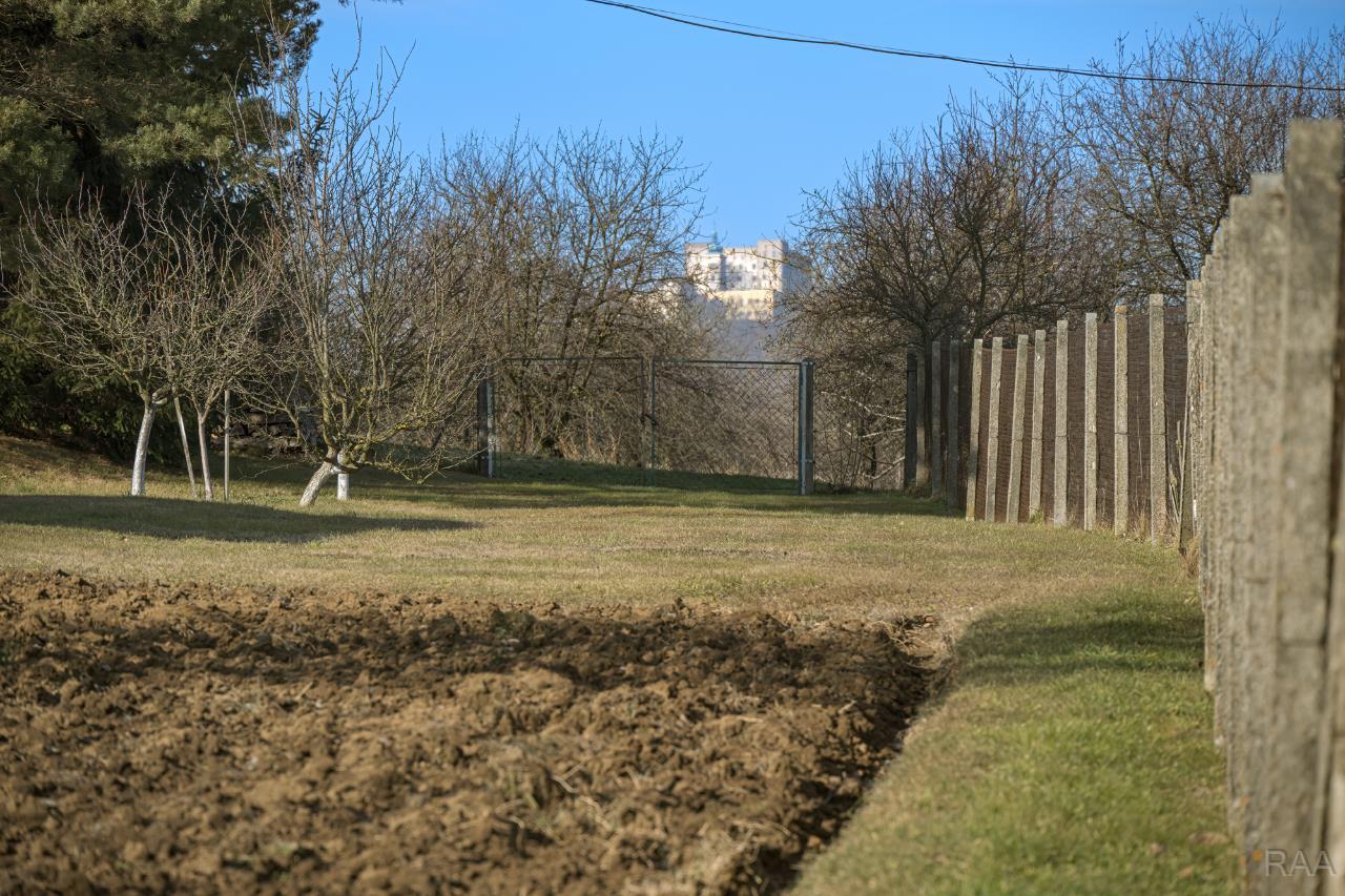 výhled na hrad Buchlov [1/12]